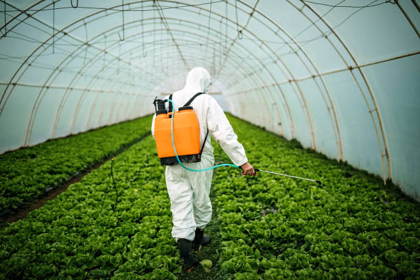 Best Pest Removal Services  in , GA