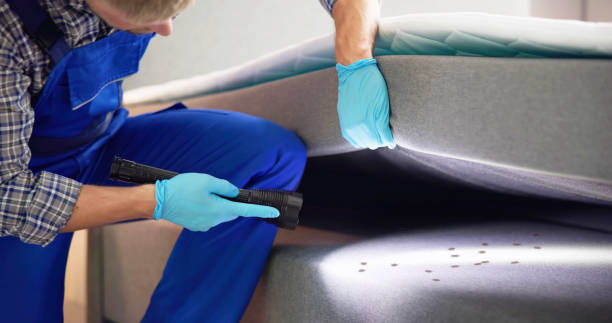 Best Emergency Pest Control  in , GA