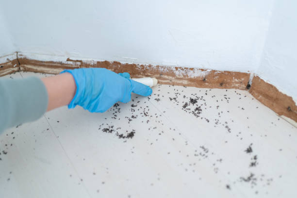 Best Pest Inspection Near Me  in , GA