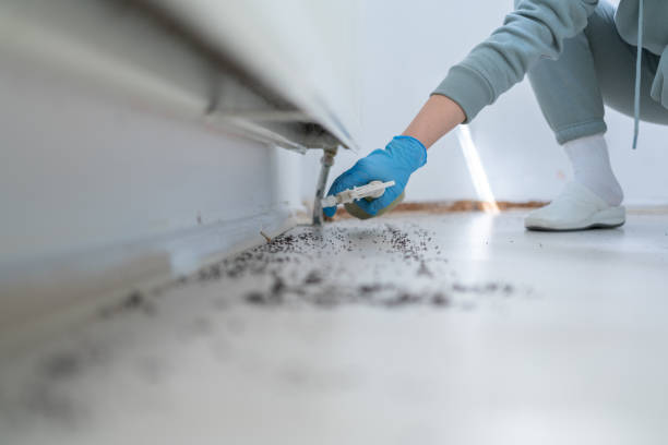 Best Affordable Pest Control Services  in , GA