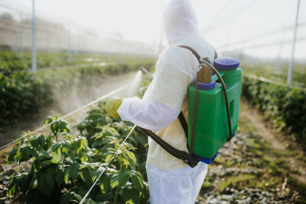 Best Residential Pest Control  in , GA